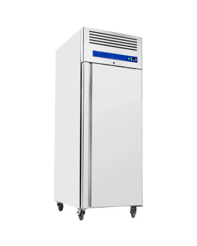 Armoire réfrigérée négative 1 porte 700L