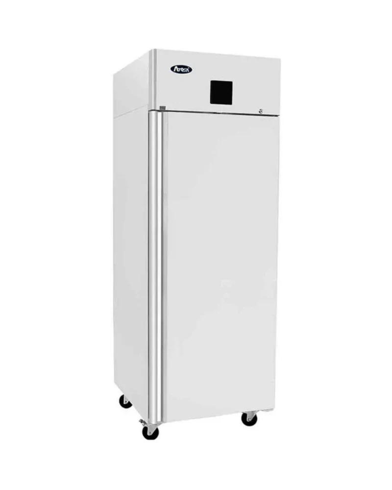 Armoire réfrigérée positive 1 porte - 670L