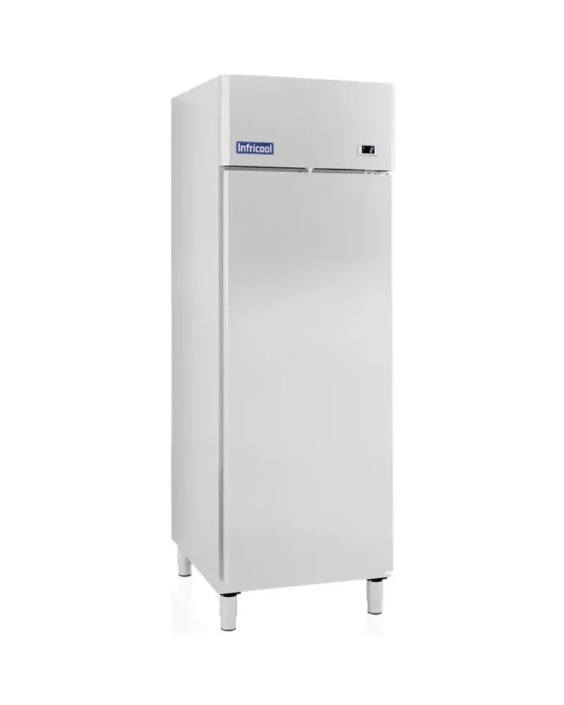 Armoire réfrigérée négative 1 porte -10/+20°C - 580L