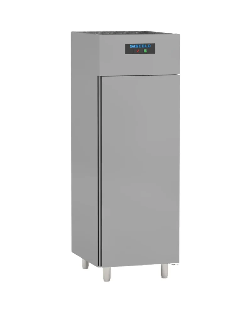 Armoire réfrigérée négative -10/-22°C 1 porte 700L