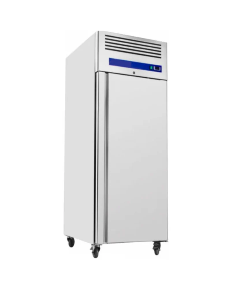 Armoire réfrigérée positive 1 porte - 700L